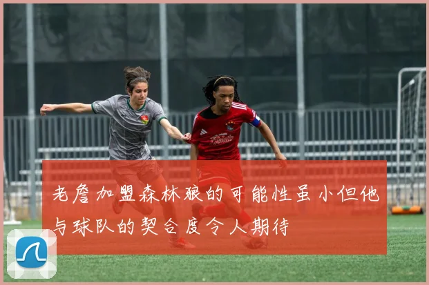 老詹加盟森林狼的可能性虽小但他与球队的契合度令人期待